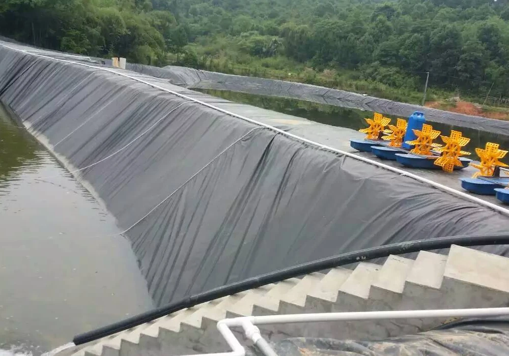 图片上传 图片上传